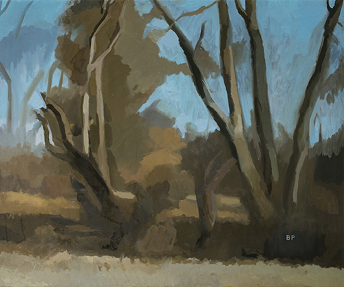 Bloomington Landscape